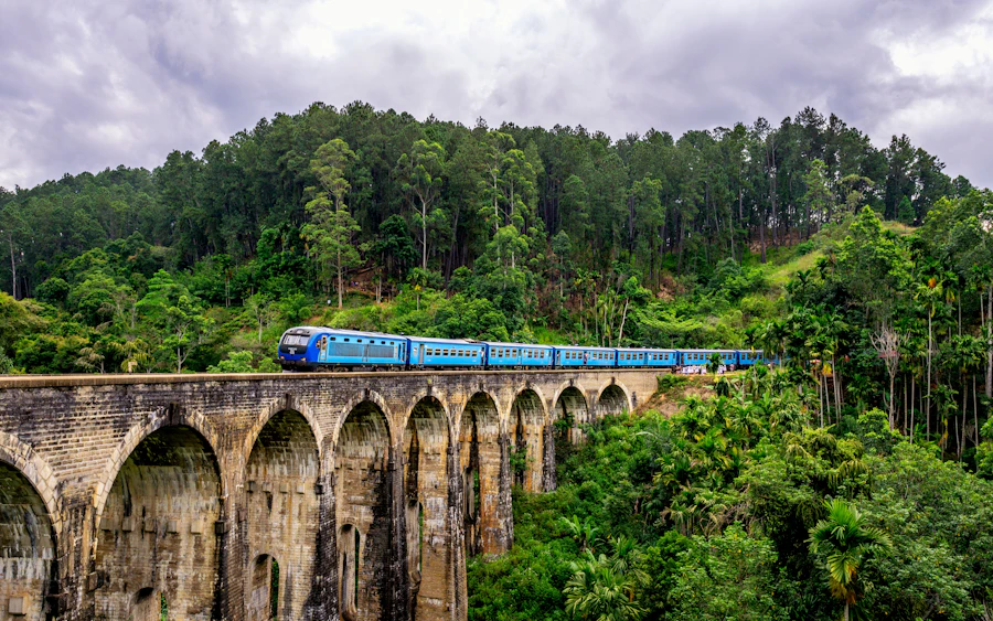 Train crossing a bridge in green Sri Lankan countryside